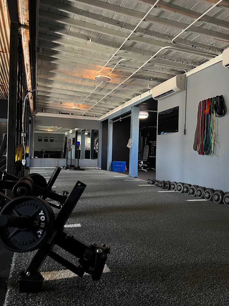  Solo Studio Health and Performance