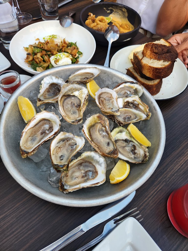 Oyster