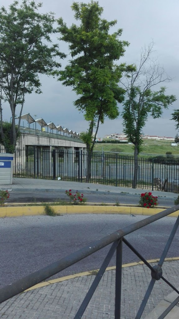 Puente de los Derechos Humanos