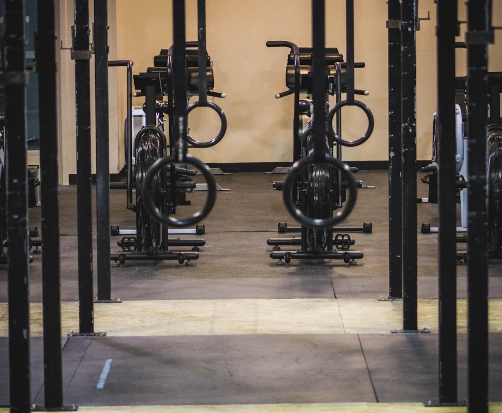  KILO TRAINED WAVERLY