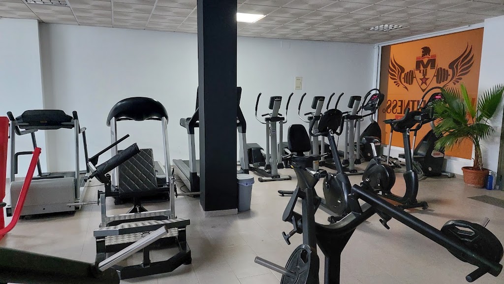 WORLD FITNESS CLUB — Ejercicio fisico