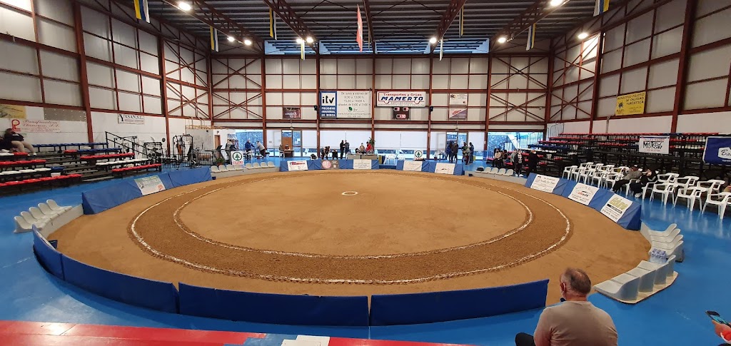 Terrero Antonio Pinero (Club de Lucha Candelaria)