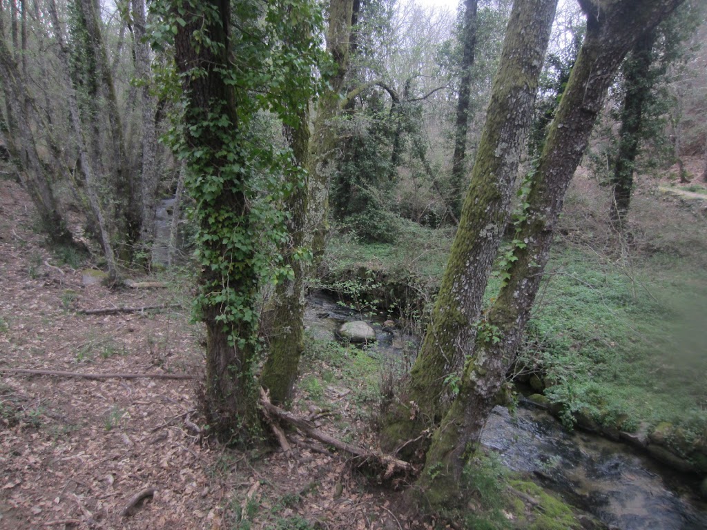 Ruta de los Mil Colores: madronal, Herguijuela de la Sierra- Cepeda