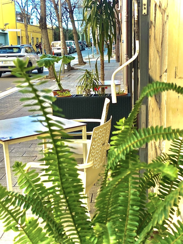 Restaurant Danubio — Mas recientes
