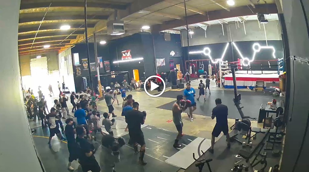  Monster Fit Striking