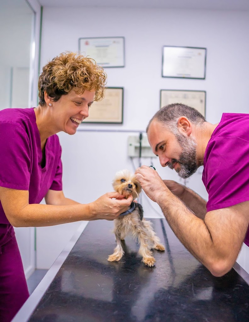 Clinica Veterinaria Sant Antoni en Benicarlo