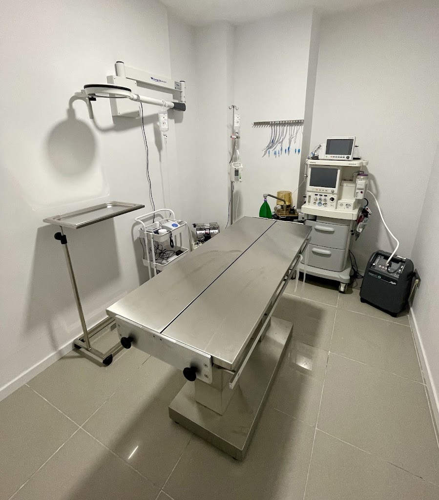 Clinica veterinaria Vet's Friends — Del propietario