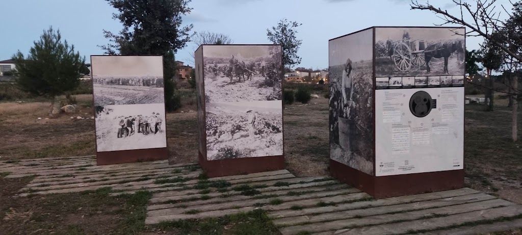 Generacions - El Cami del Vi - Winewalk