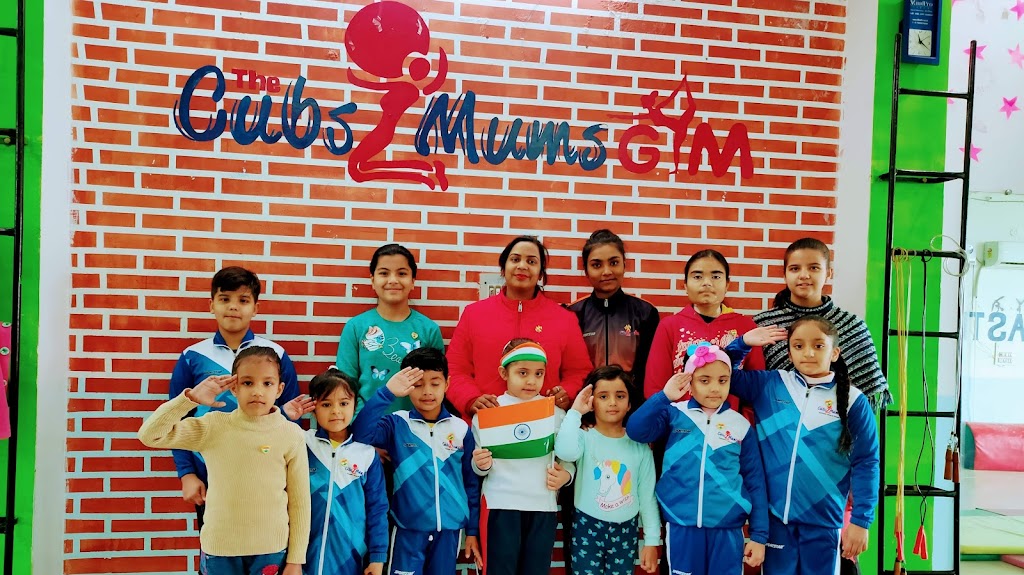 THE CUBS N MUMS GYM(Gymnastics,dance& fitness academy)