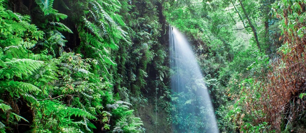 Lava Language Centre Aprende Espanol