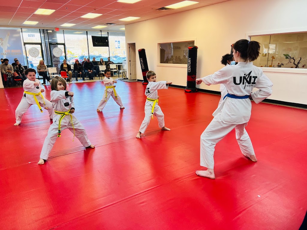  Tiger USA World Class TaeKwonDo & Family Martial Arts