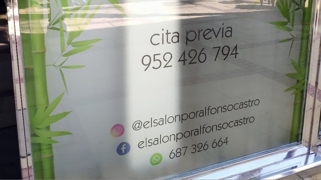 El salon. Alfonso Castro.