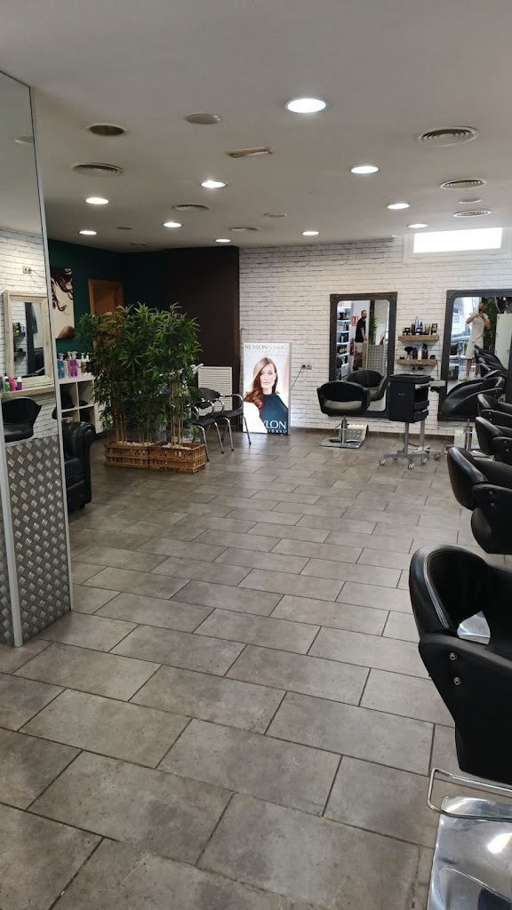 Camden S.c.p. — Interior