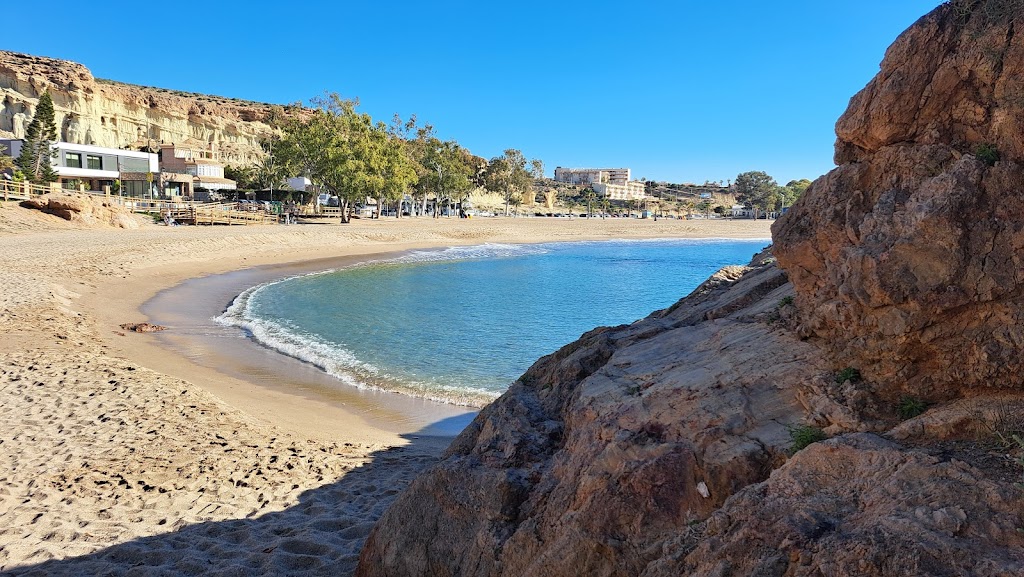 ROCA DEL LEON TRANQUILO