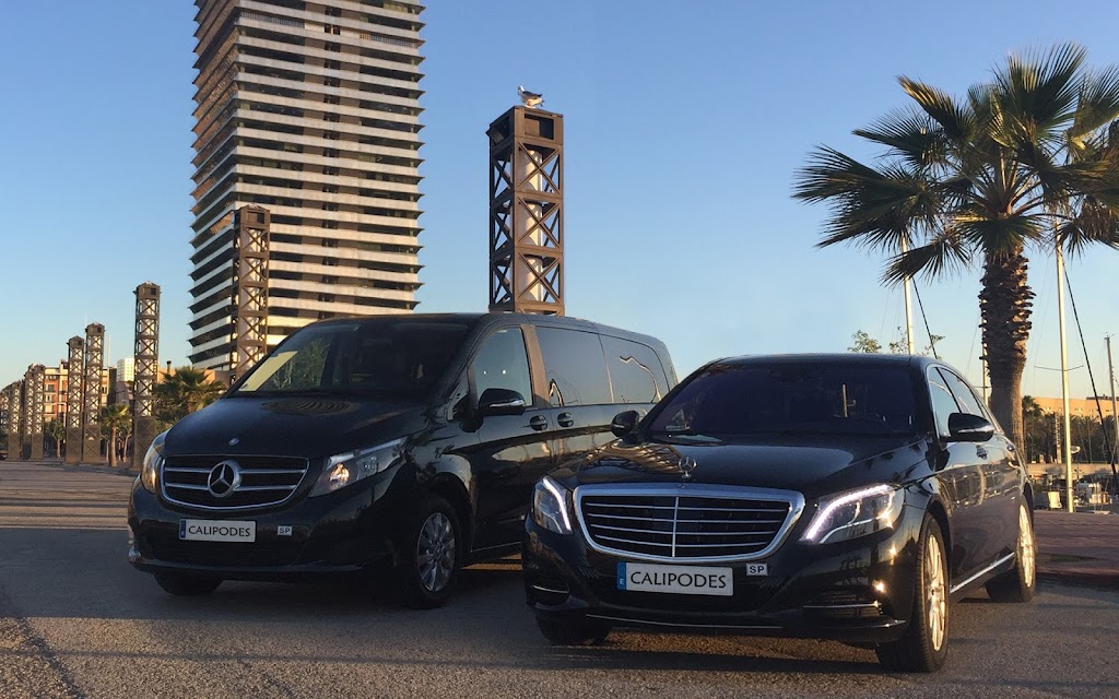CARS CALIPODES S.L.
