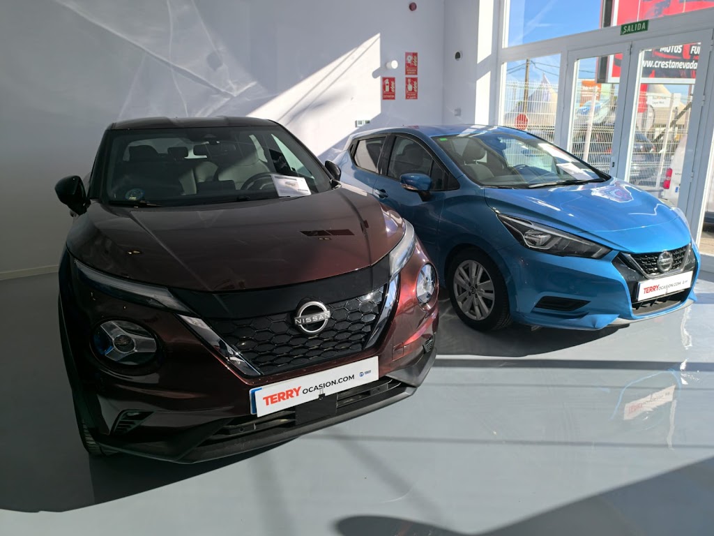 Terry Ocasion | Concesionario coches de segunda mano en Camas — Hatchback