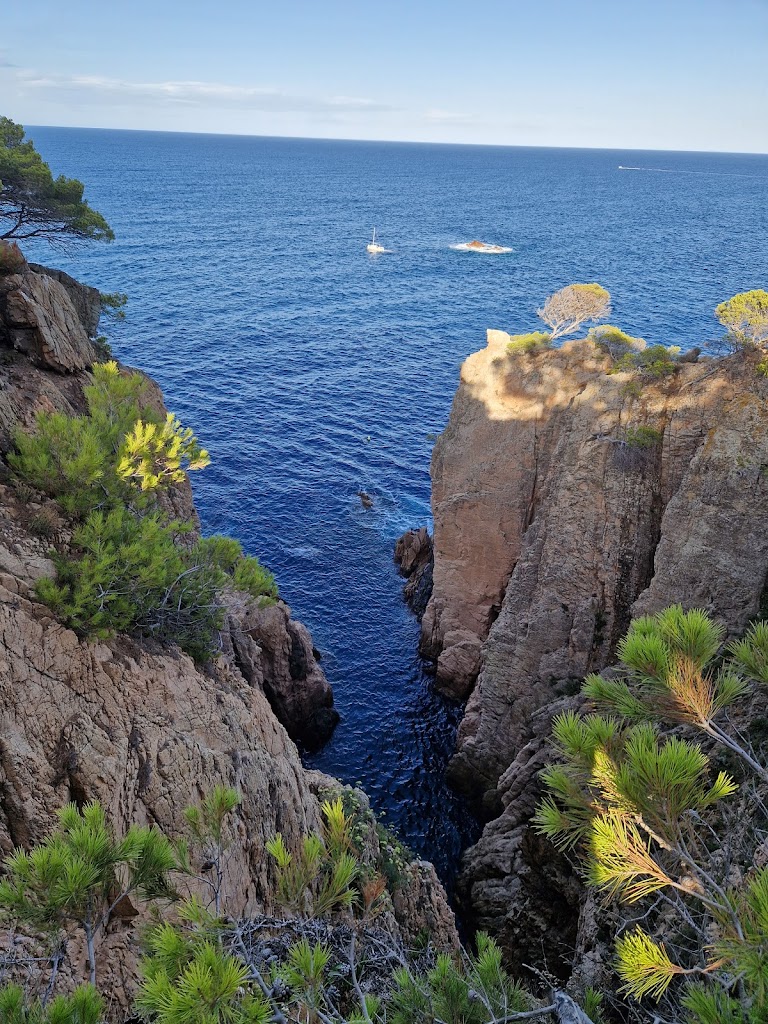 Aparcamiento Gratuito