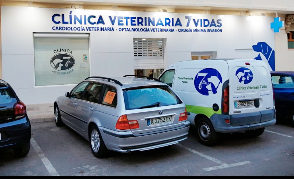 Clinica Veterinaria 7 Vidas — Todas