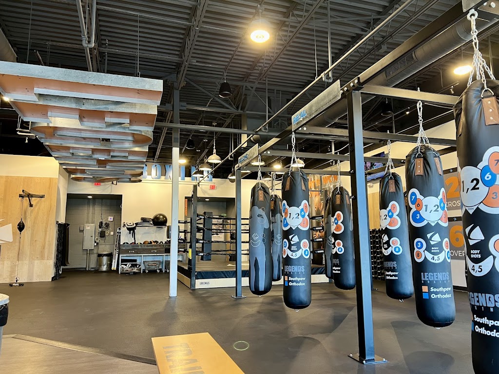  Legends Boxing - Lee Vista