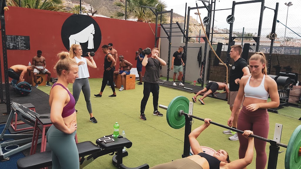 EVOLUTIONPRO FITNESS — Del propietario