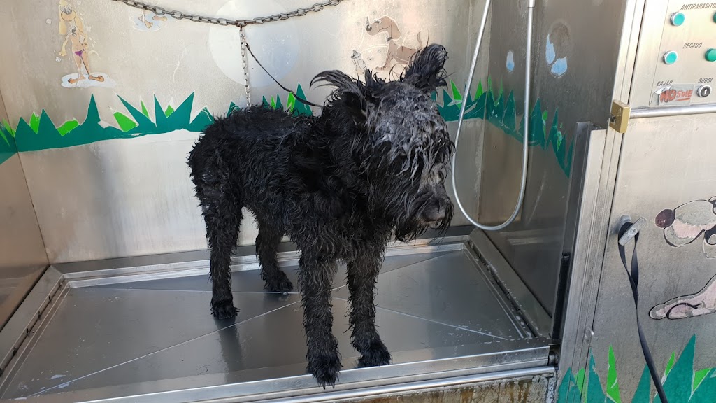 Lavadero Perros Vila Seca