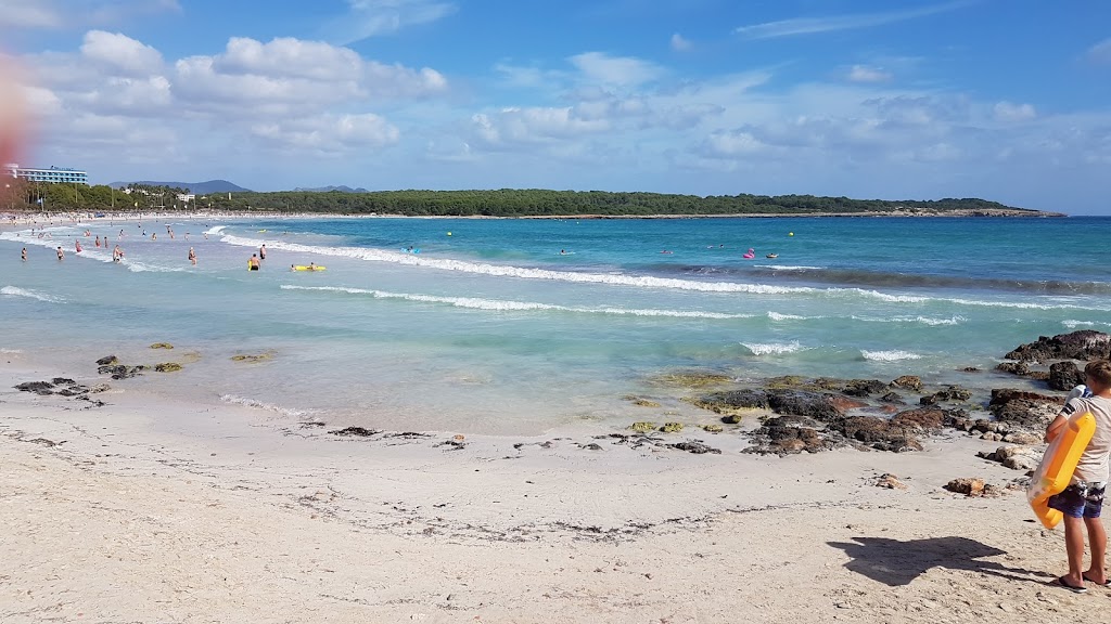 Protur Cars Palmeras