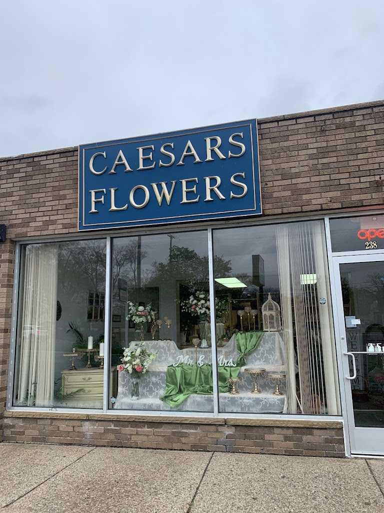 Caesars flowers