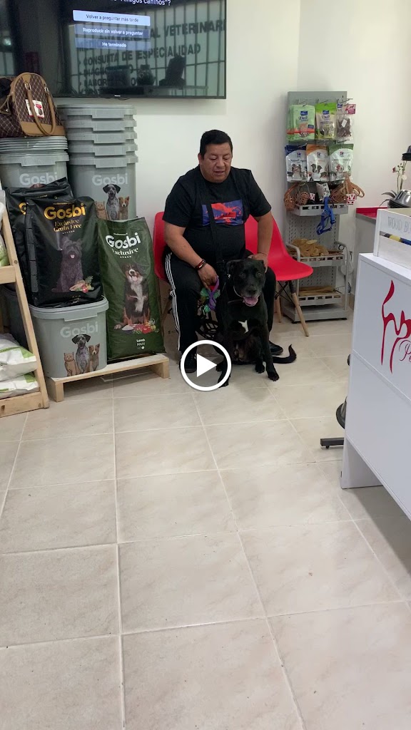 Pet Medica VETERINARIA — Videos