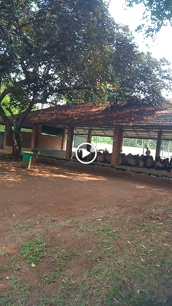 Camping ground Situ Gintung