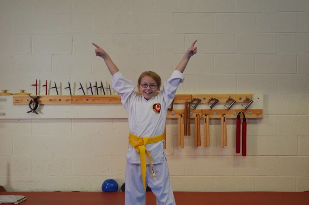  Okinawa Karate Of Twinsburg