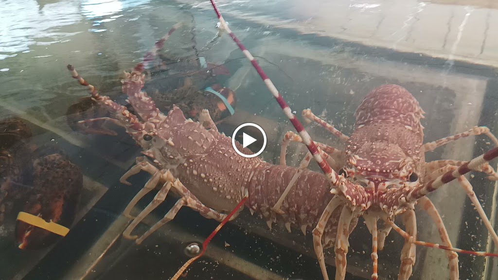 Restaurante Hogar Del Pescador — Videos