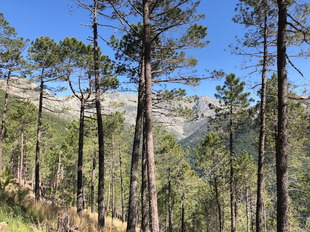 Pico Arbillas