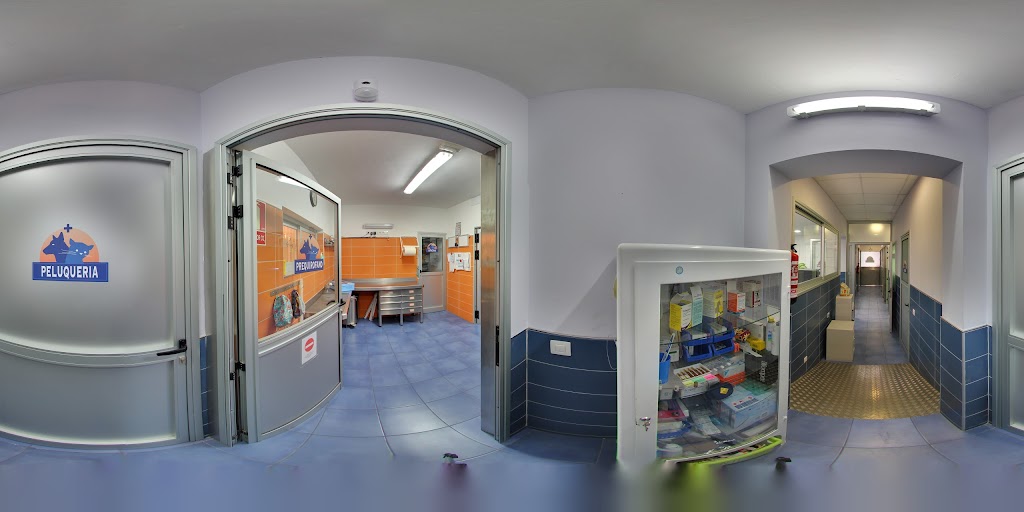 Street View y 360°