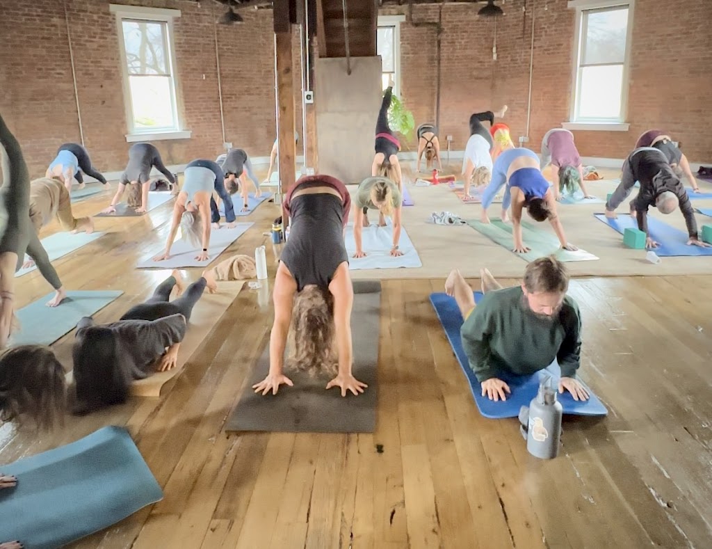  Shala Yoga Lexington