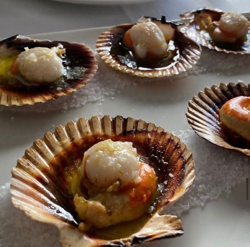 Restaurante La Brasa de Horizontal — Pectinidae