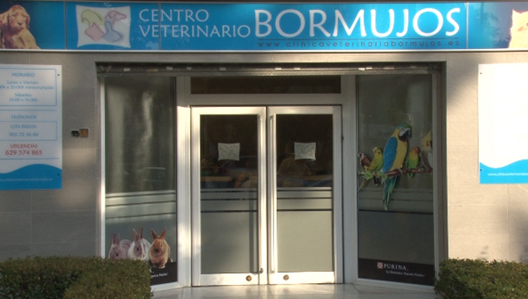 AniCura Bormujos Clinica Veterinaria — Del propietario