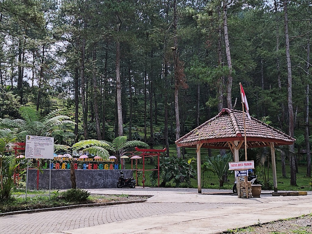 Senggani Canyon Camping Ground