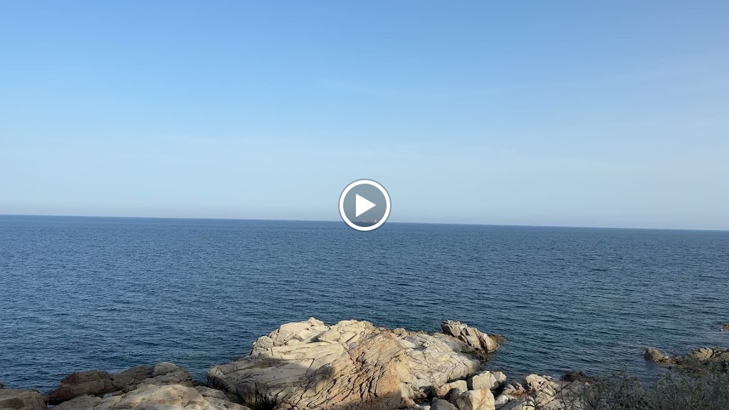 Aparcamiento Pago — Videos