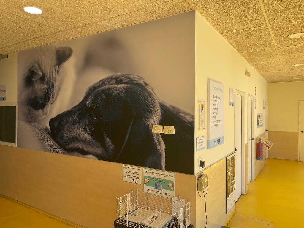 AniCura Manlleu Clinica Veterinaria — Perro
