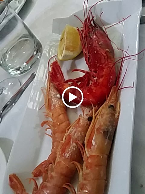 Lounge Bar La Plaza Restaurant — Videos