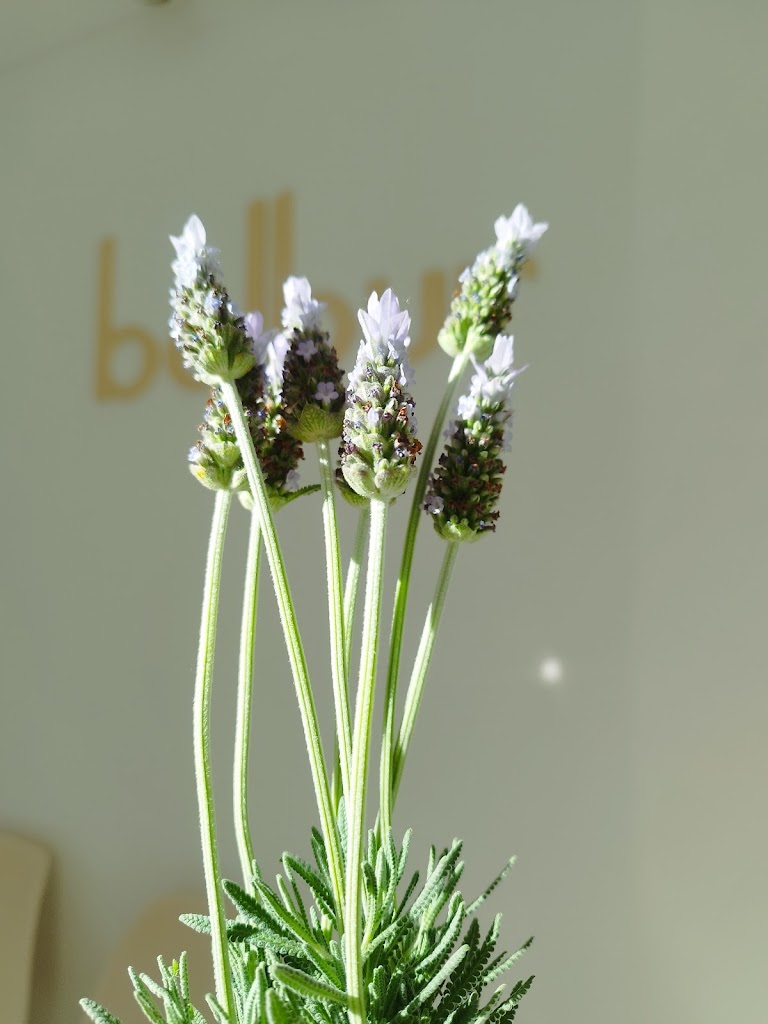 Belbur, Salon de Belleza