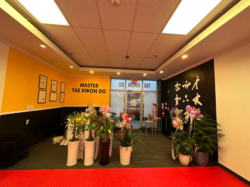 Master Taekwondo