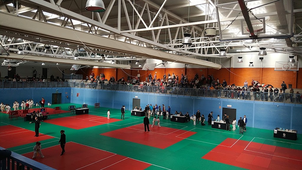 Federacion Madrilena de Judo