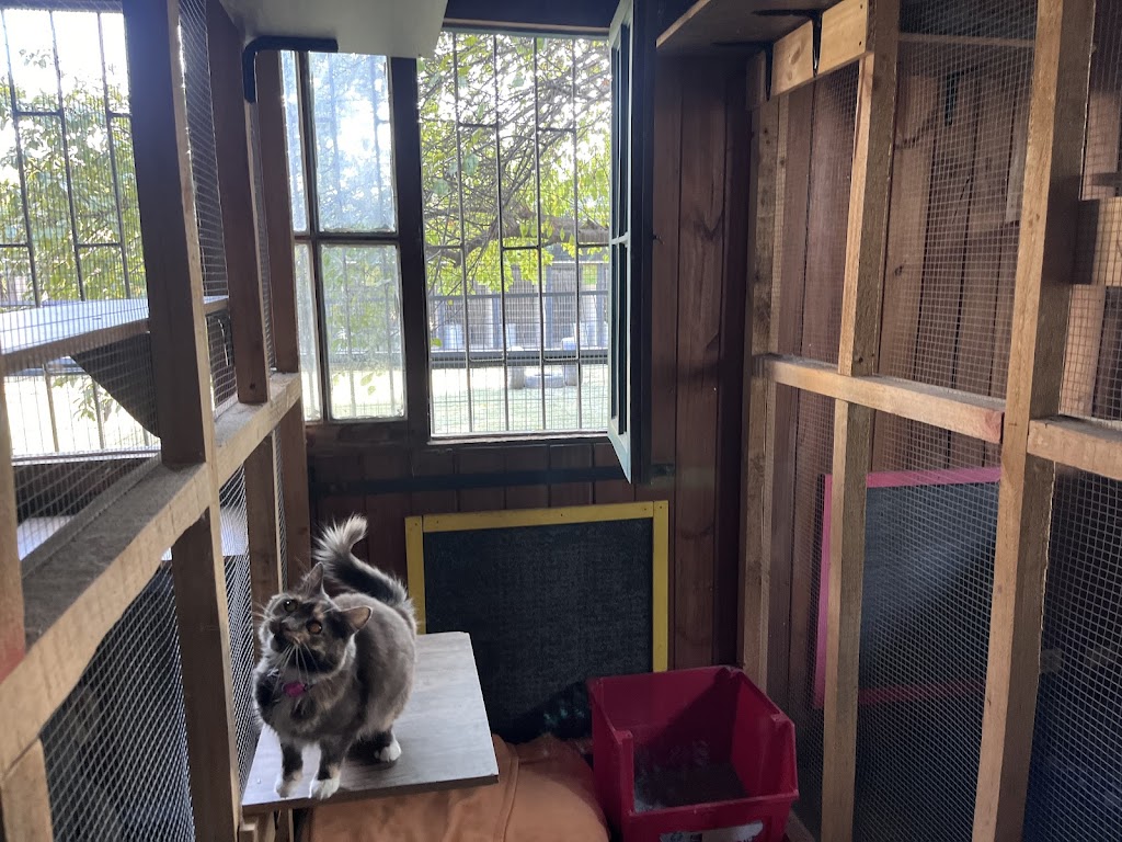 Habitaciones