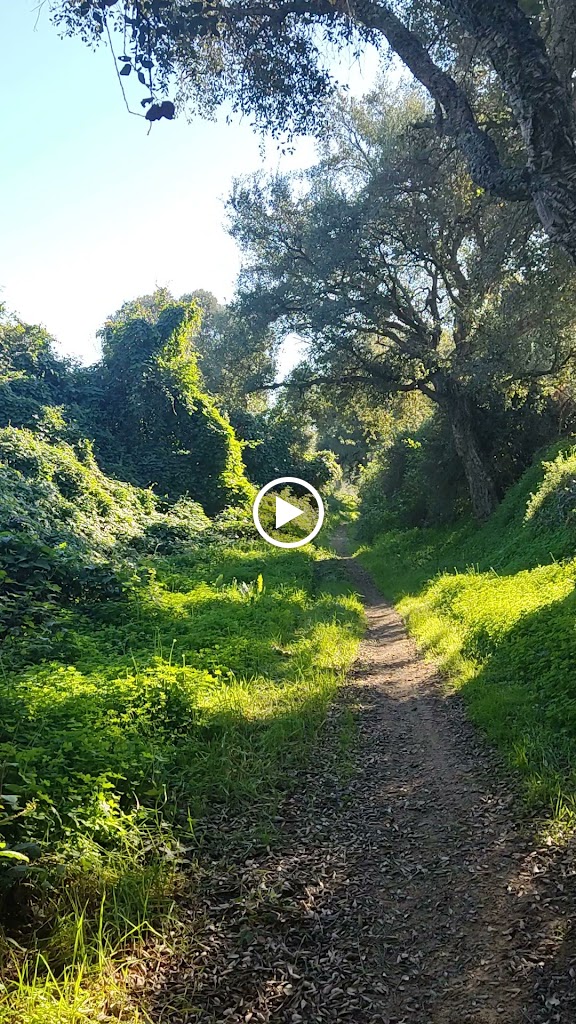 Camino Natural Via Verde del Litoral — Videos