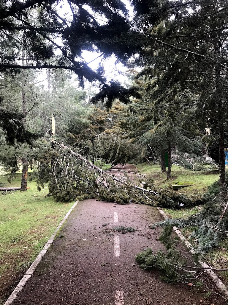 Parque Este Tres Cantos