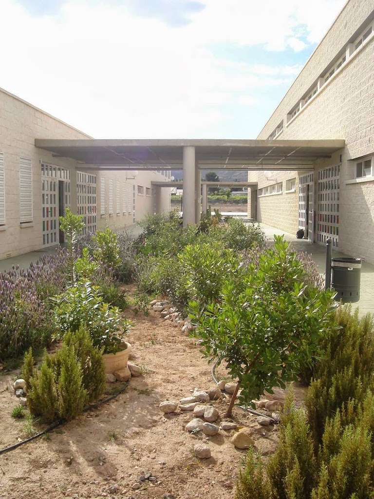 C.E.I.P. RICARDO CODORNIU