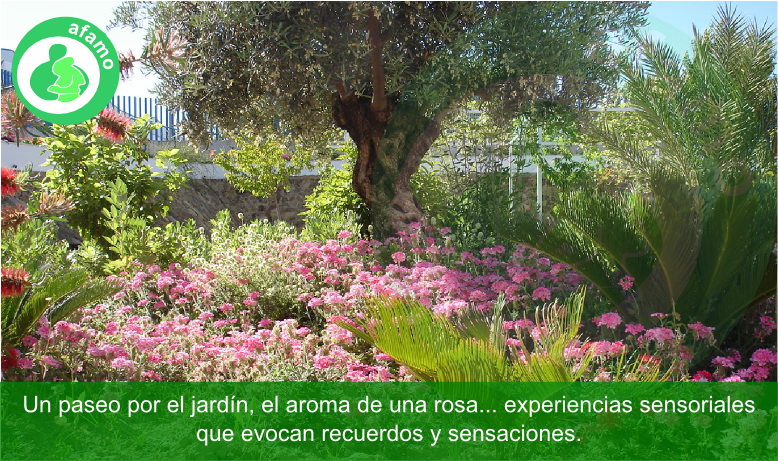 Asociacion de Familiares de Enfermos de Alzheimer y Otras Demencias AFAMO