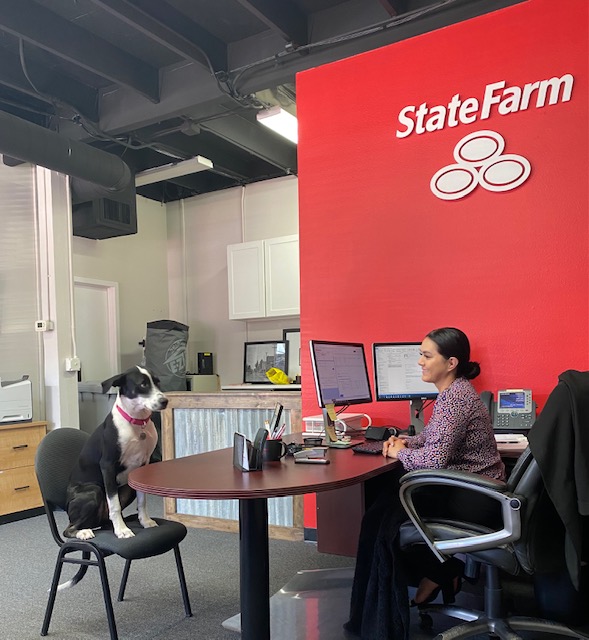 Gary Lorge - State Farm Insurance Agent