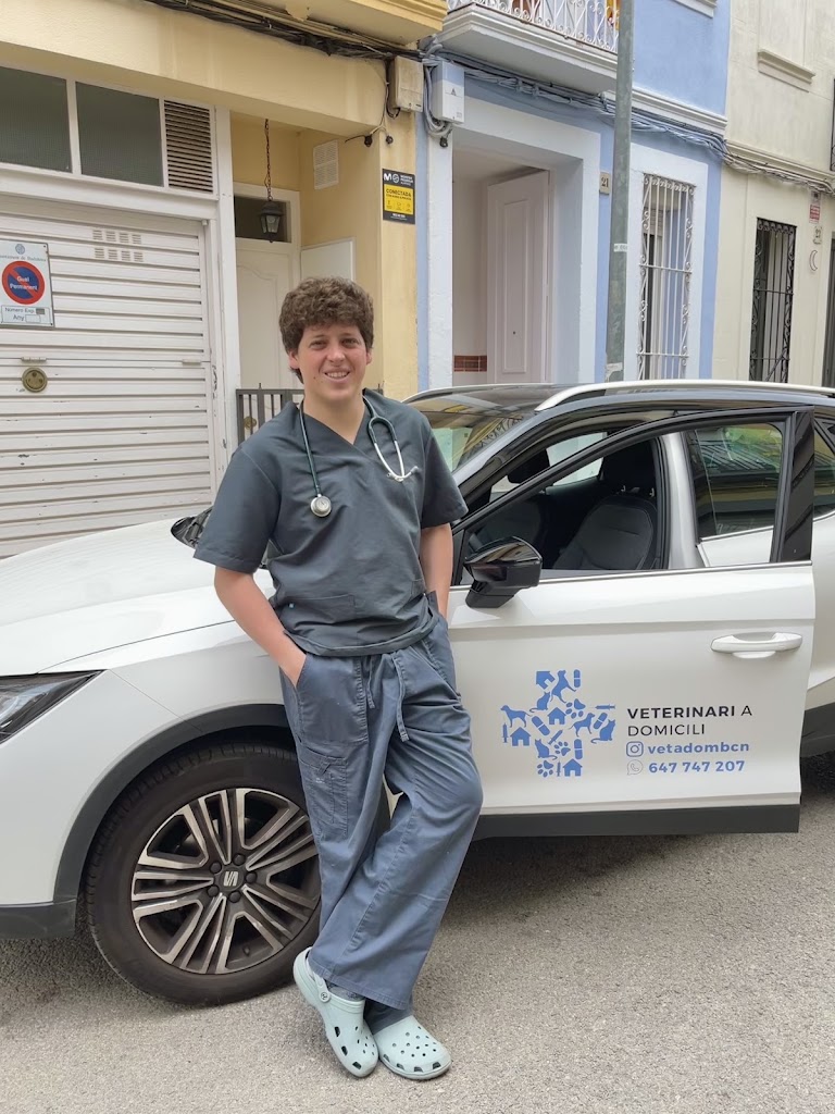 VETaDOM Veterinario a domicilio — Del propietario
